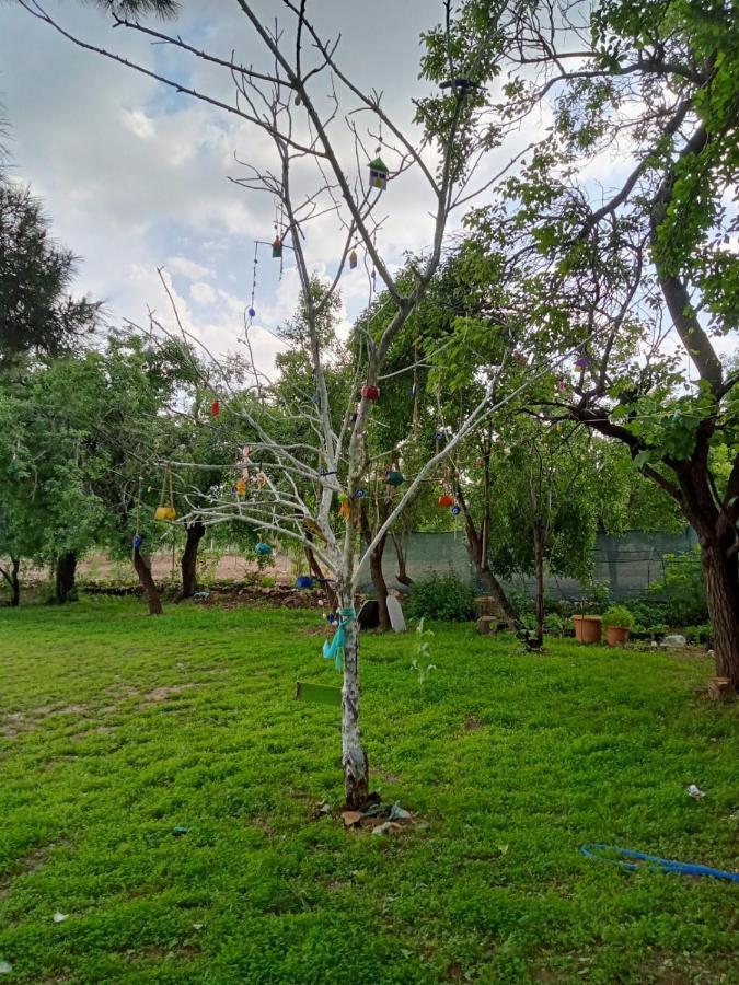 Salda Goelue Koca Kapi Konaklama Yesilova  Exterior photo